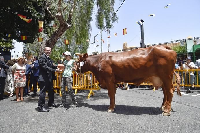 ENTREGA PREMIOS FERIA DE GANADO Y PROCESION ...