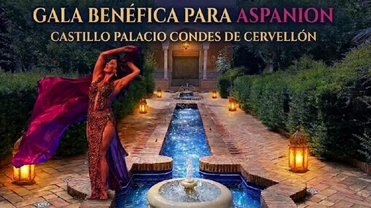 El cartel de la gala benéfica.
