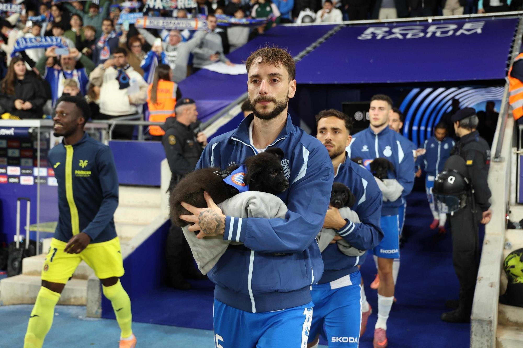 &#039;Periquitos&#039; y perritos, juntos contra el abandono animal