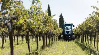 Los viticultores del Penedès piden camiones de agua si hacen falta para salvar la cosecha