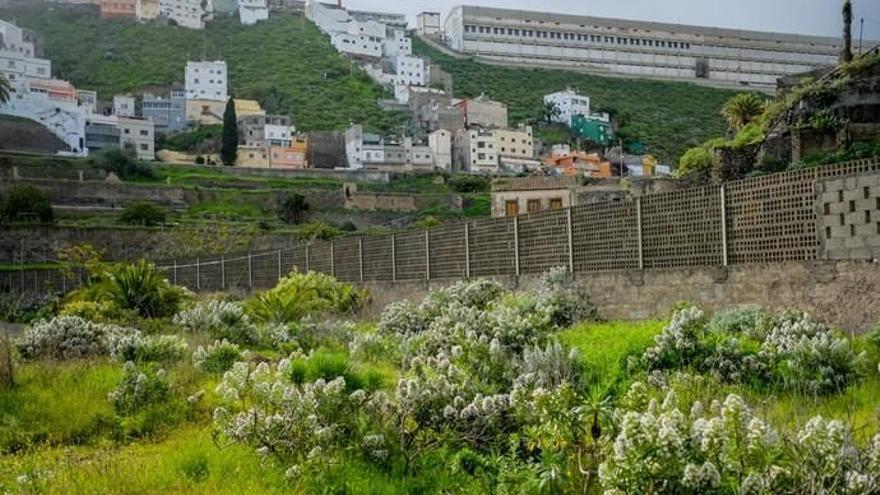 Imagen de archivo del barranco Guiniguada