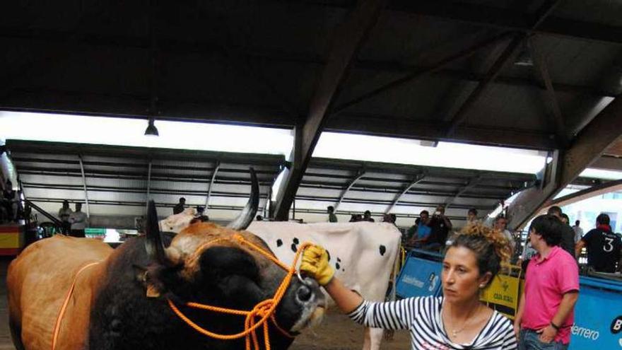 El toro &quot;Gandul&quot;, el gran campeón en doble grupa.