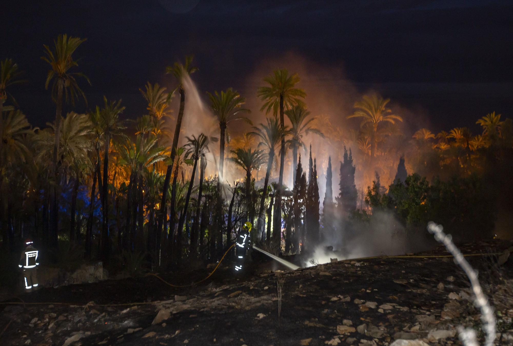 Así ha sido el fuego junto a El Palmeral de Alicante