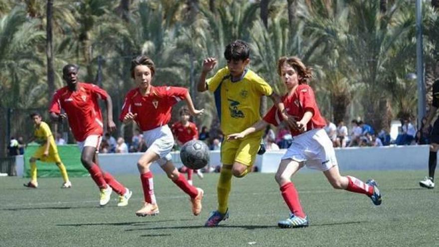 Cuatrocientos jóvenes participaron en el «I Torneo LSE Sport-Memorial Alvarilli»