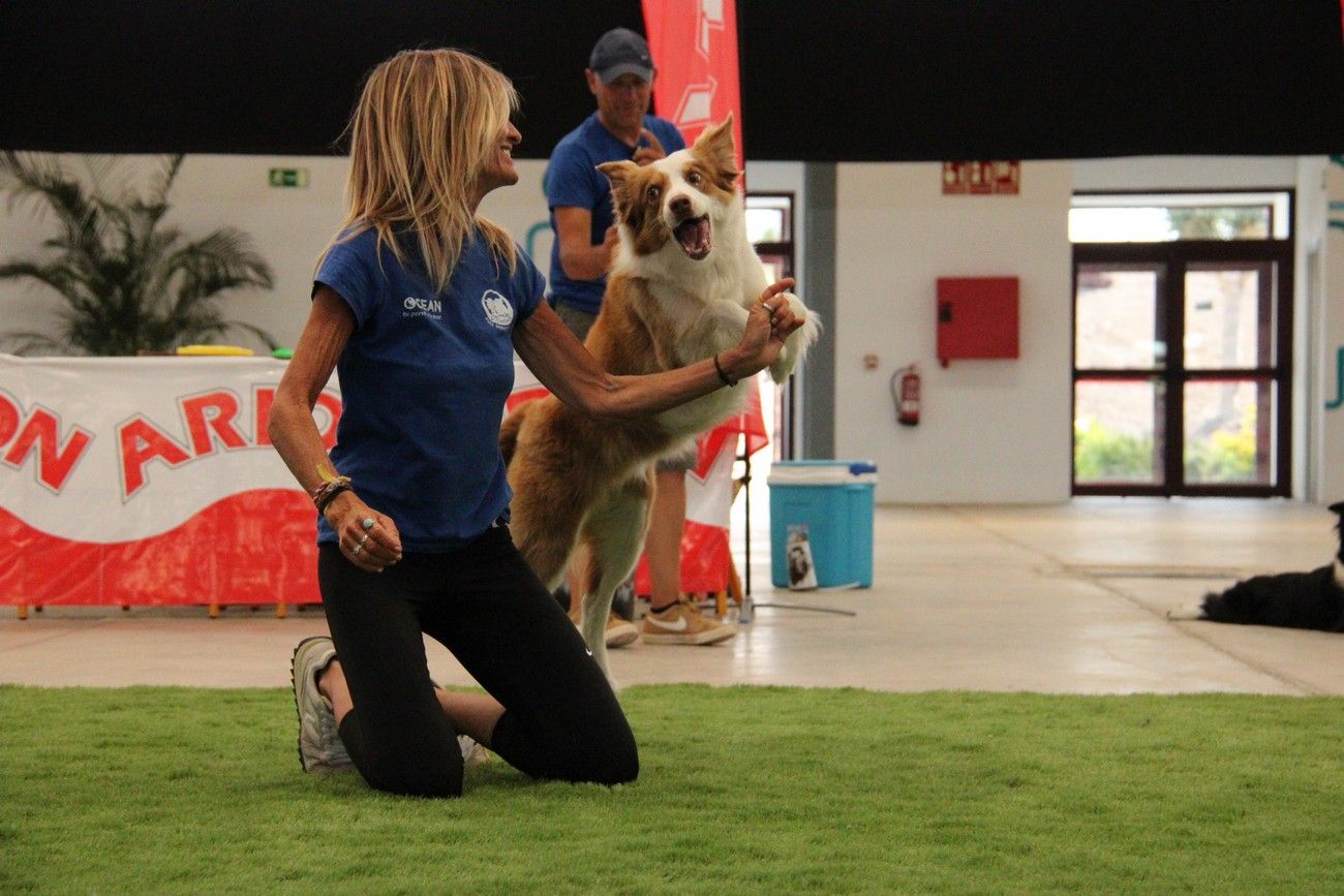 Espectacular exhibición canina en Agüimes con los finalistas de &#039;Got Talent&#039;