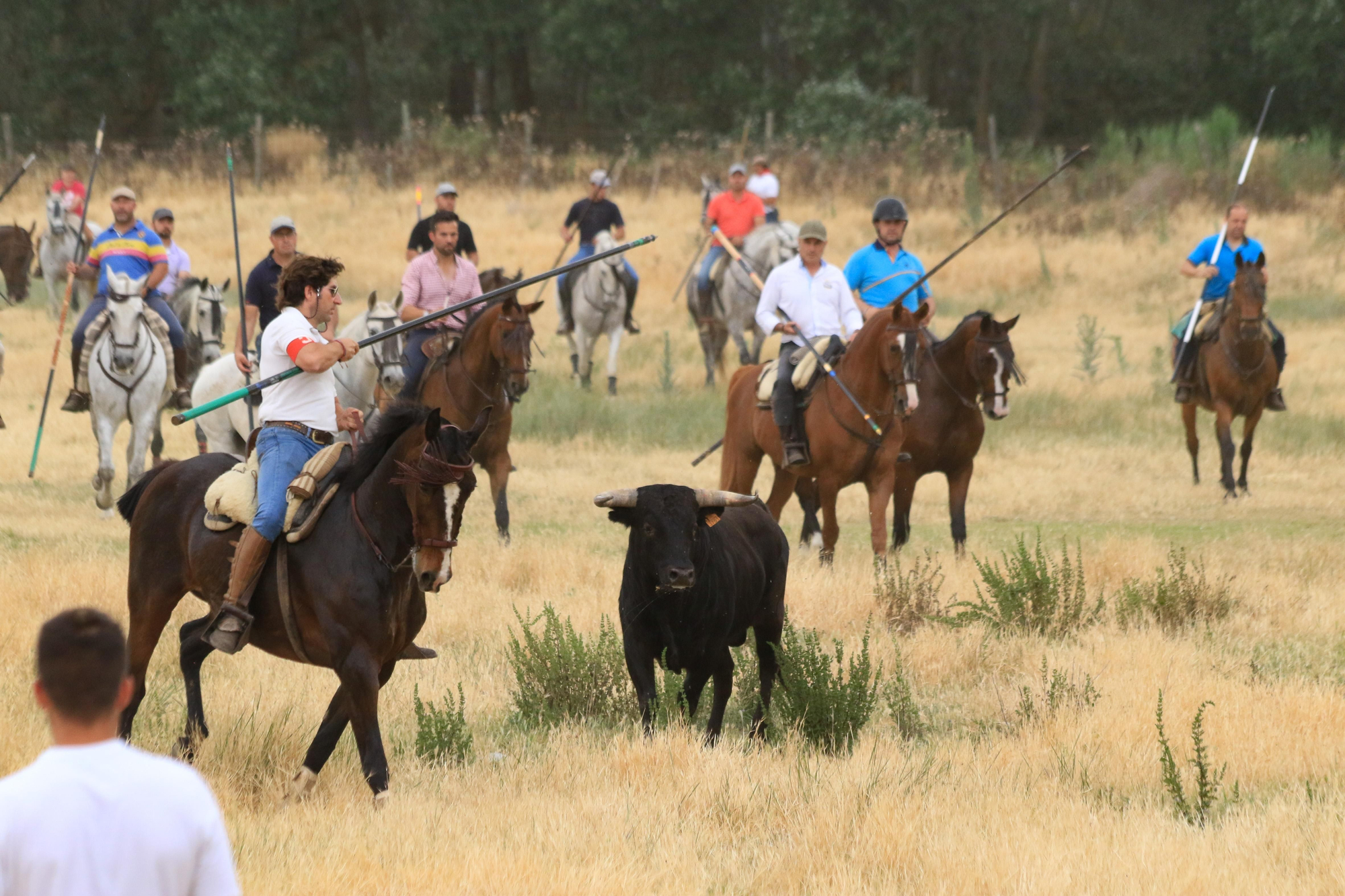 GALERÍA | Encierro mixto en Vadillo de la Guareña