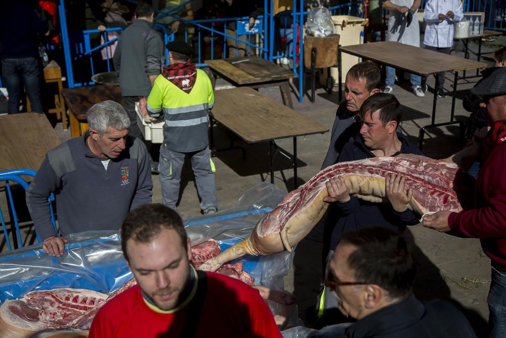 Relleu conmemora Sant Antoni reviviendo la matanza del cerdo