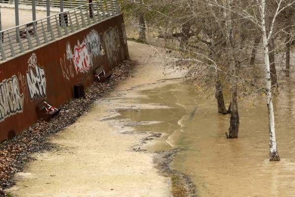 Fotogalería: Crecida en el río Ebro