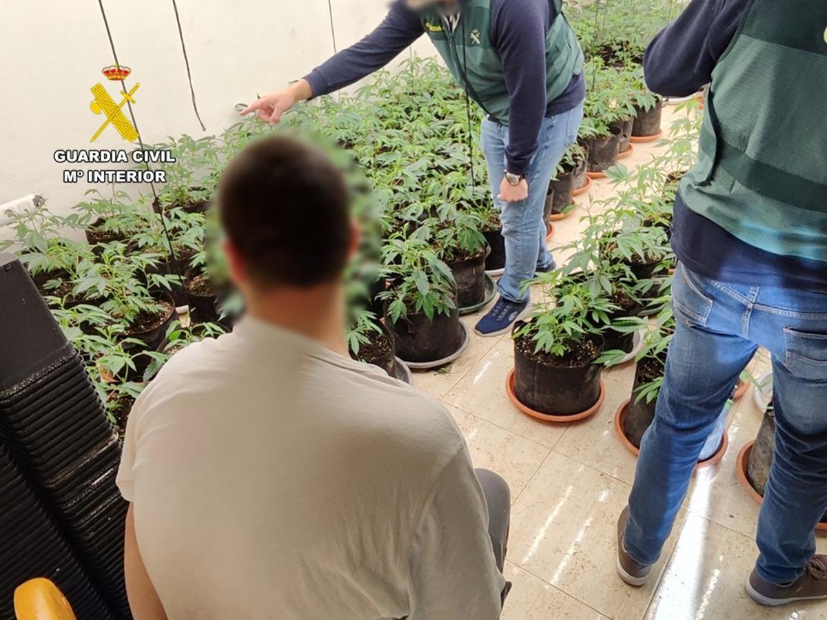 La plantación estaba equipada con última tecnología