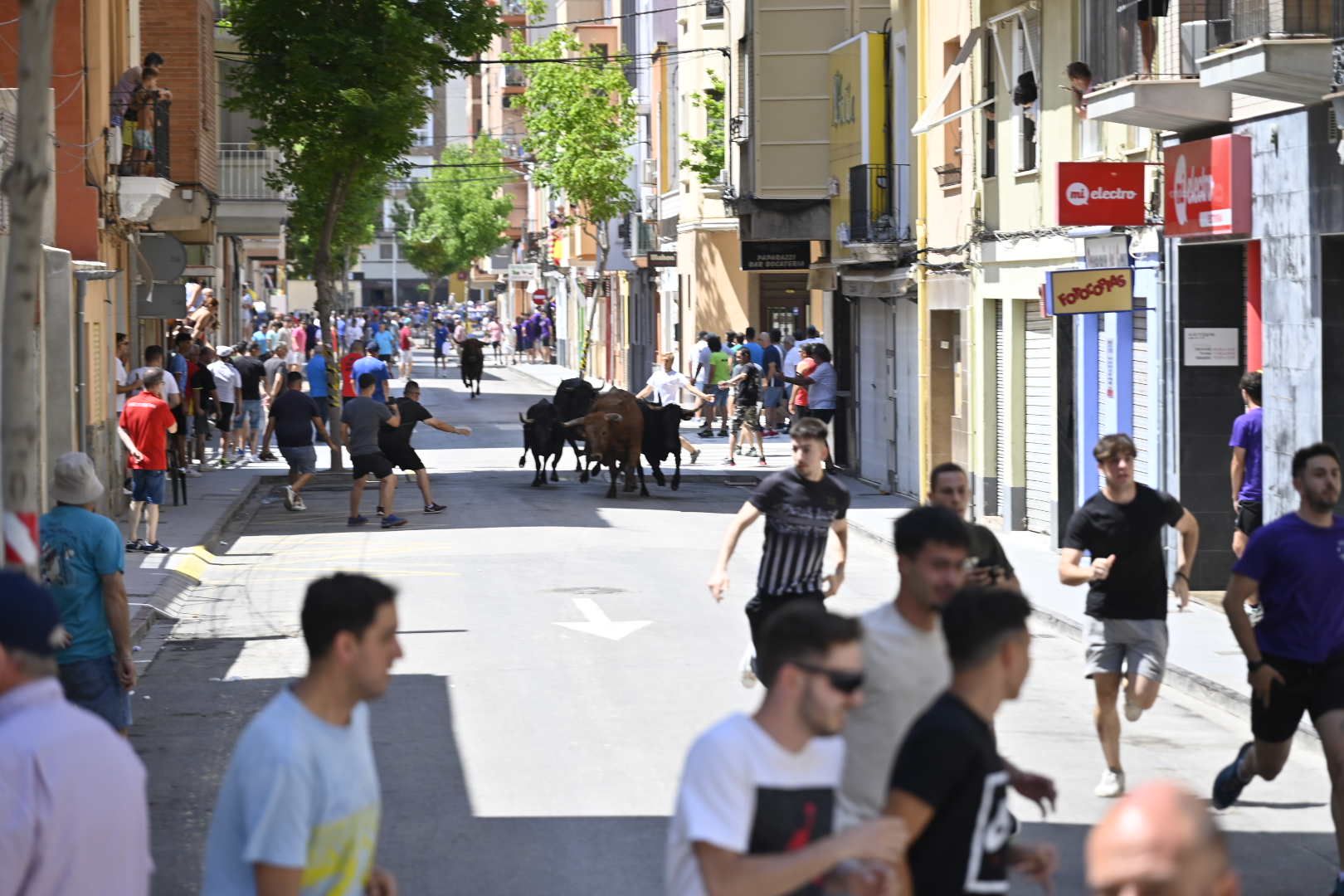 El ‘bou’ toma protagonismo mañana, tarde y noche en el Grau en fiestas