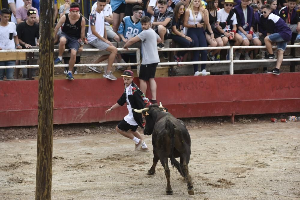 Vaquetes de Santpedor 2018