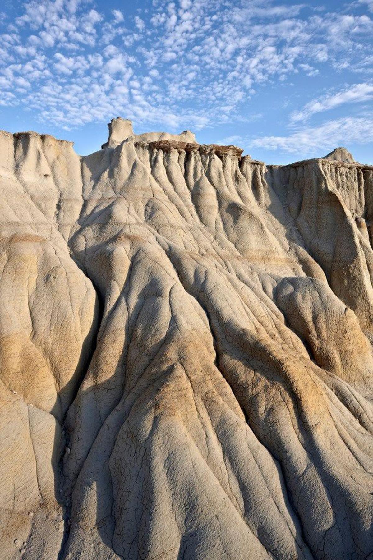 parque nacional con el que cuenta es con el de Theodore Roosevelt