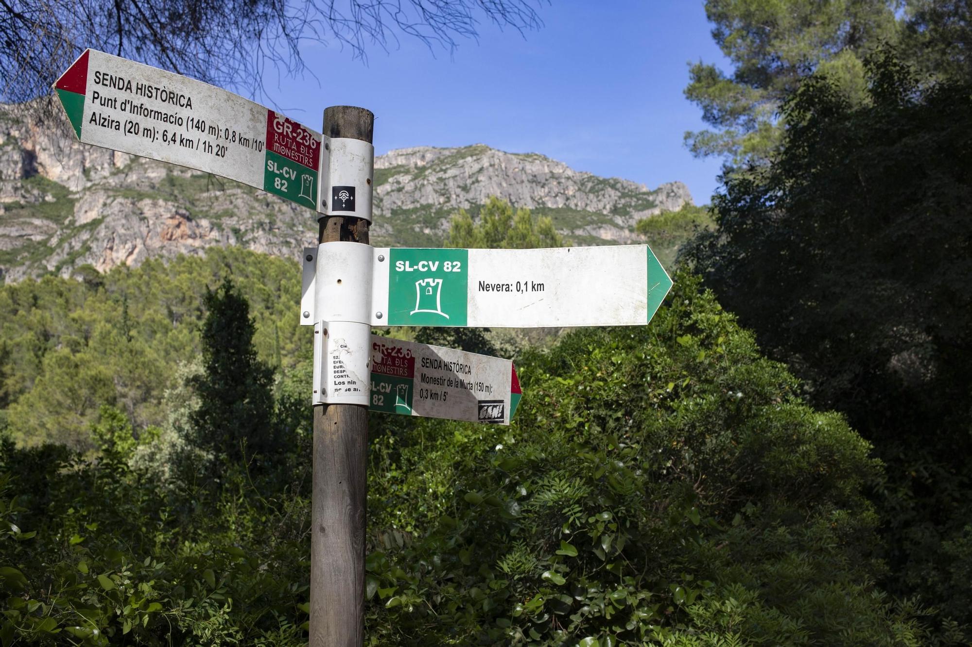 Un paseo por el paraje de la Murta y la Casella de Alzira