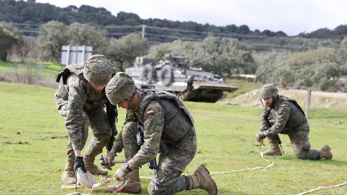 Imagen de archivo de efectivos de las Fuerzas Armadas.