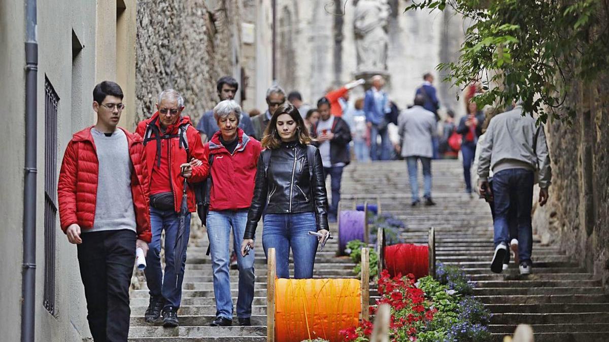 Un projecte floral, de l&#039;última edició, l&#039;any 2019, a les escales de la Pera.