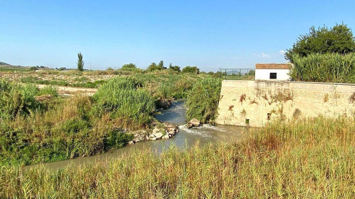 El río Segura abastece de agua a la población de Almordí desde la construcción del Azud de Alfeitamí.