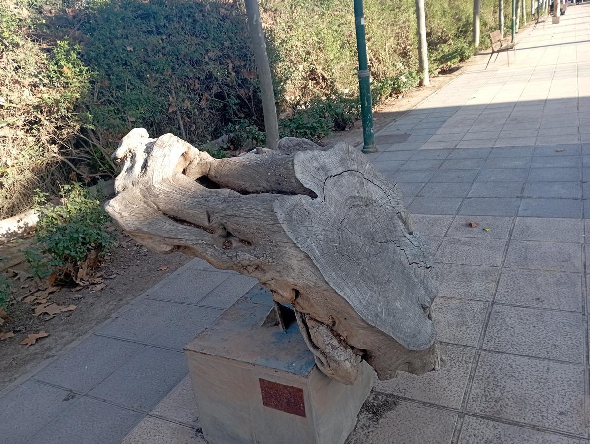 El tocón cargado de siglos.