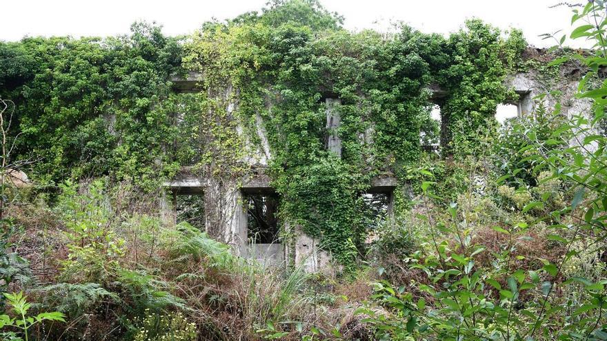Al rescate del antiguo jardín y el bosque del pazo de Baldomir: "Es una península anclada a otro tiempo"