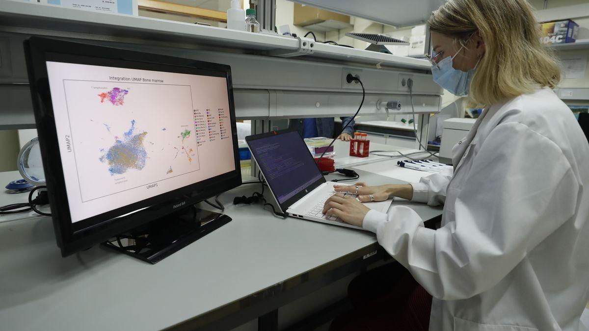 La investigadora del estudio, Sara López Tamargo, trabajando en el laboratorio.