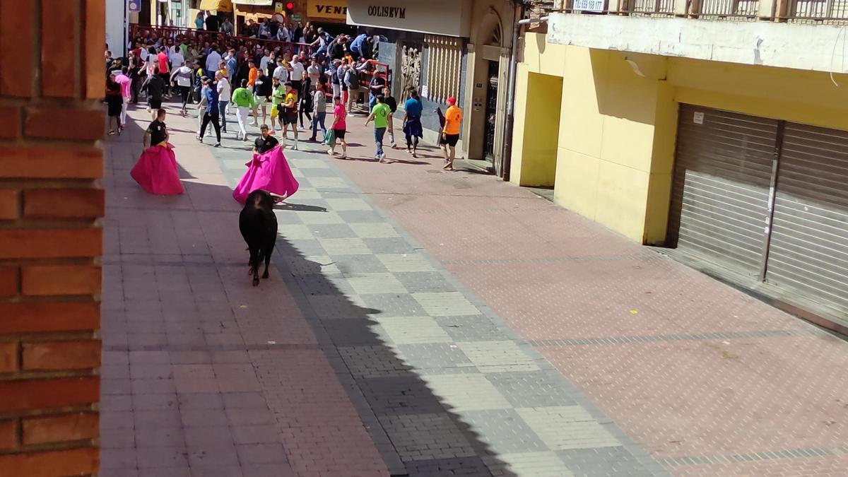 GALERÍA: El toro del cajón de La Reata, de las fiestas de Benavente, en imágenes