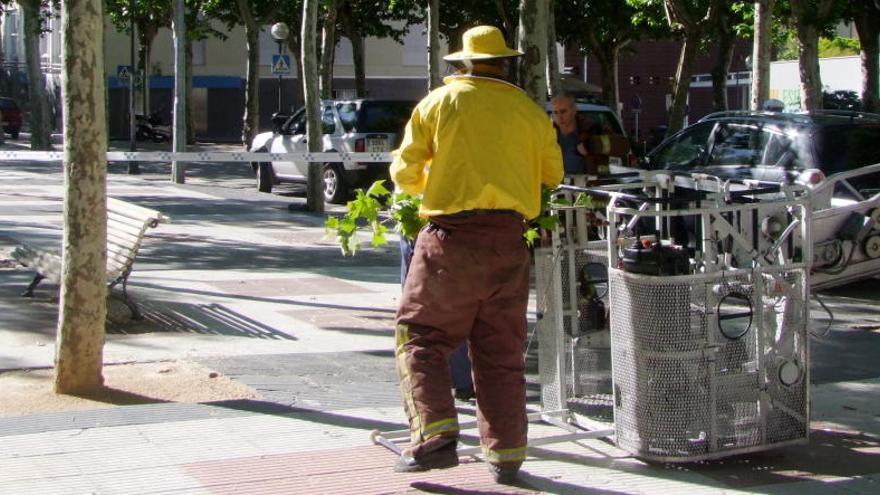 Un bomber, poc després d&#039;haver despenjat l&#039;eixam.