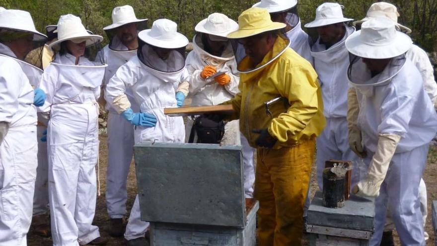 Una clase práctica sobre apicultura.
