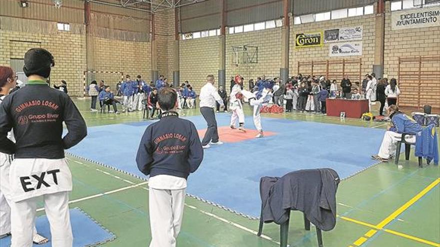 Coria disfruta con el campeonato de extremadura de taekwondo