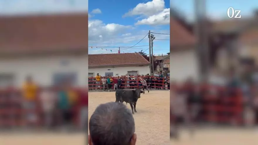 VÍDEO | Fiestas patronales en honor a San Torcuato y San Isidro Labrador en Manzanal del Barco