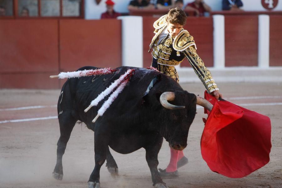 Toros en Zamora