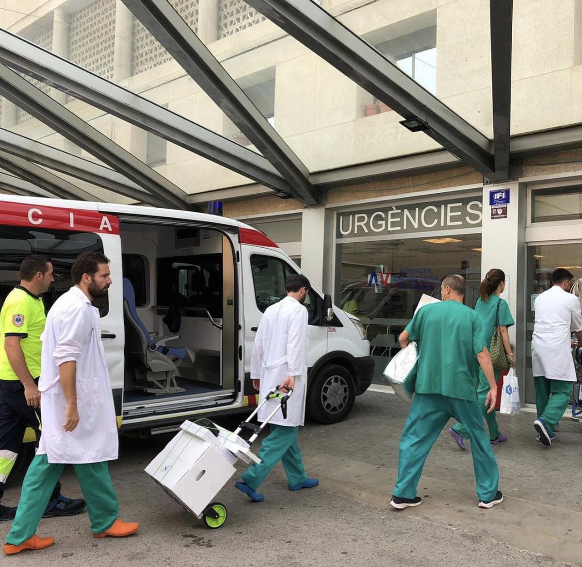 Órganos donados para un trasplante