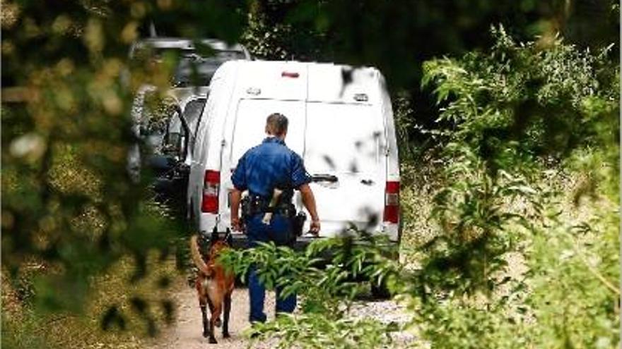 La unitat canina mentre realitzava la recerca d&#039;un dels fragments en una zona boscosa de Taialà.