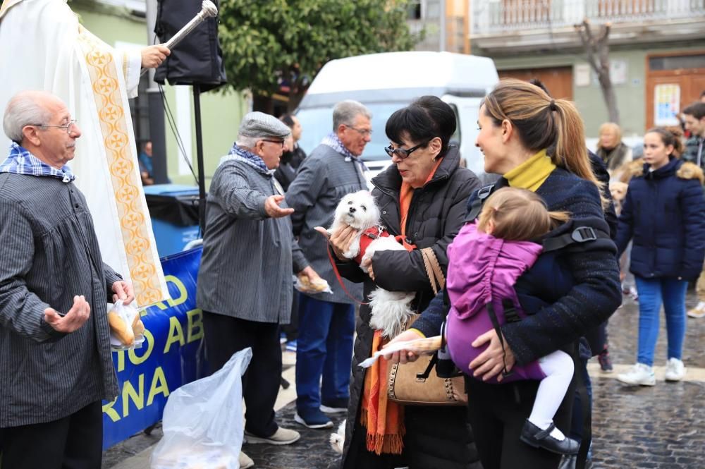 Bendición de animales en Paterna.