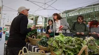 Arranca el mercadillo de verduras de Pla del Remei con pocas ventas y el boicot del mercado de Colón