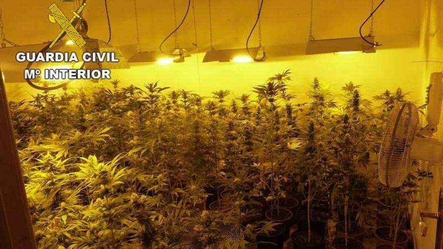 Un okupa monta un macrocultivo de marihuana en una casa de Castellón