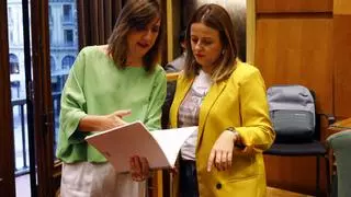 PSOE y ZeC critican los presupuestos de Chueca por "claudicar ante la ultraderecha"