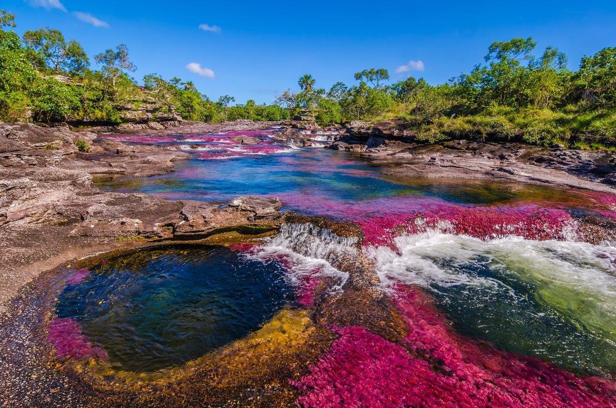 Caño Cristales, Colomia