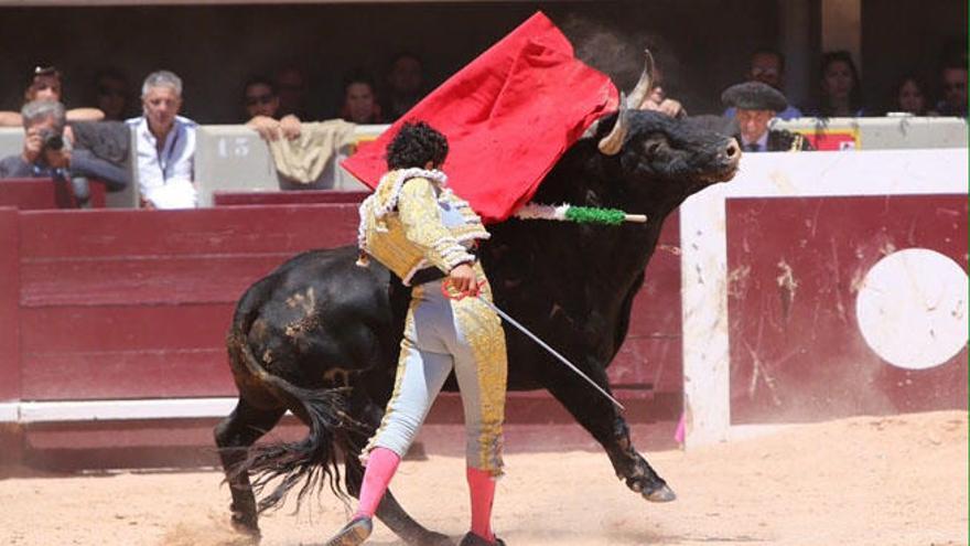 Joaquín Galdós: ovación y ovación.