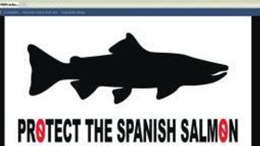 Carátula del blog de la plataforma para la protección del salmón atlántico.
