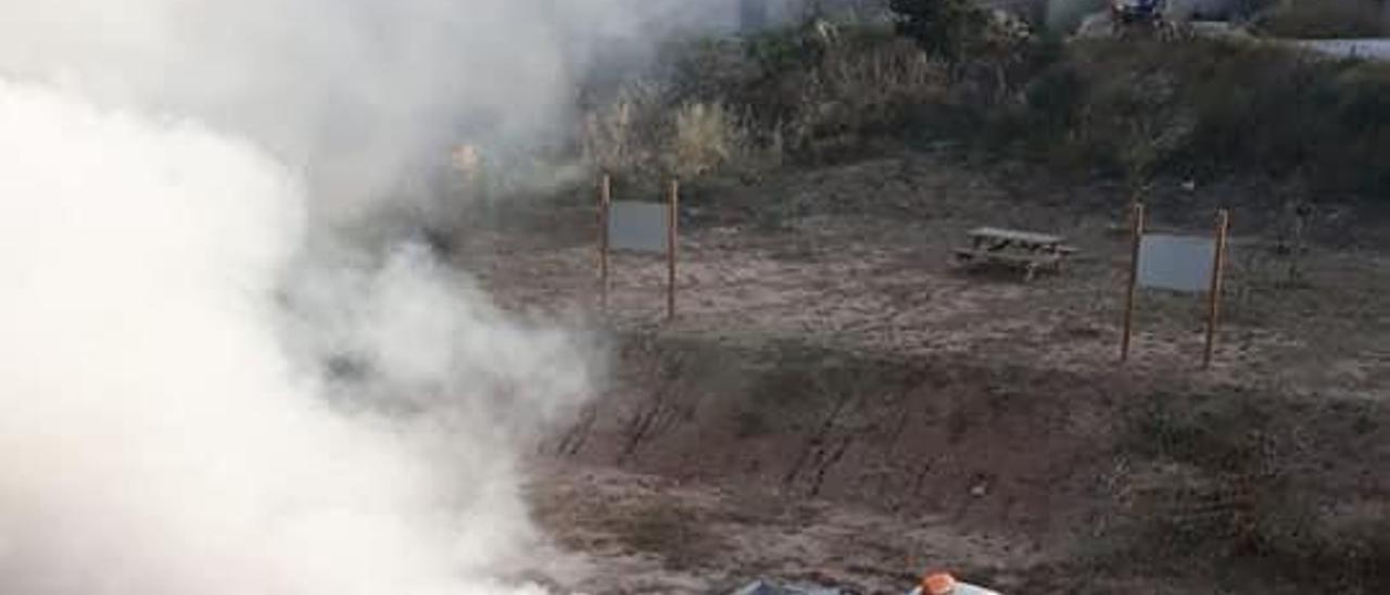 Fumigaciones extraordinarias en la Ribera por las plagas de mosquito tigre y mosca negra