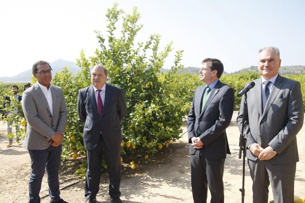 Presentación de 'Verna', la nueva cerveza de Estrella Levante