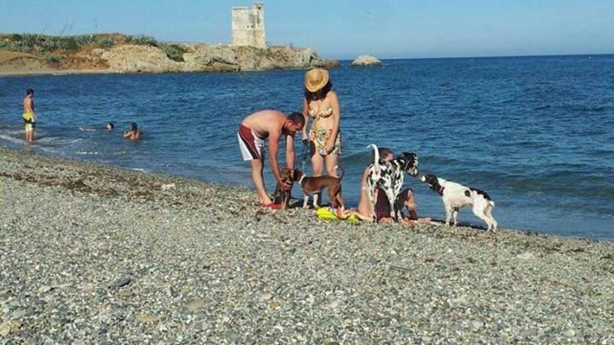 Una playa para perros en Casares.