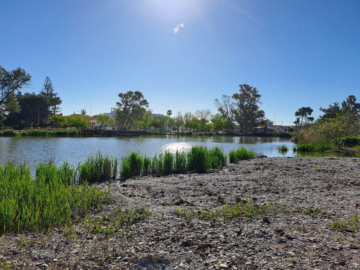 Imagen de la nueva laguna en el parque natural l'Estany.