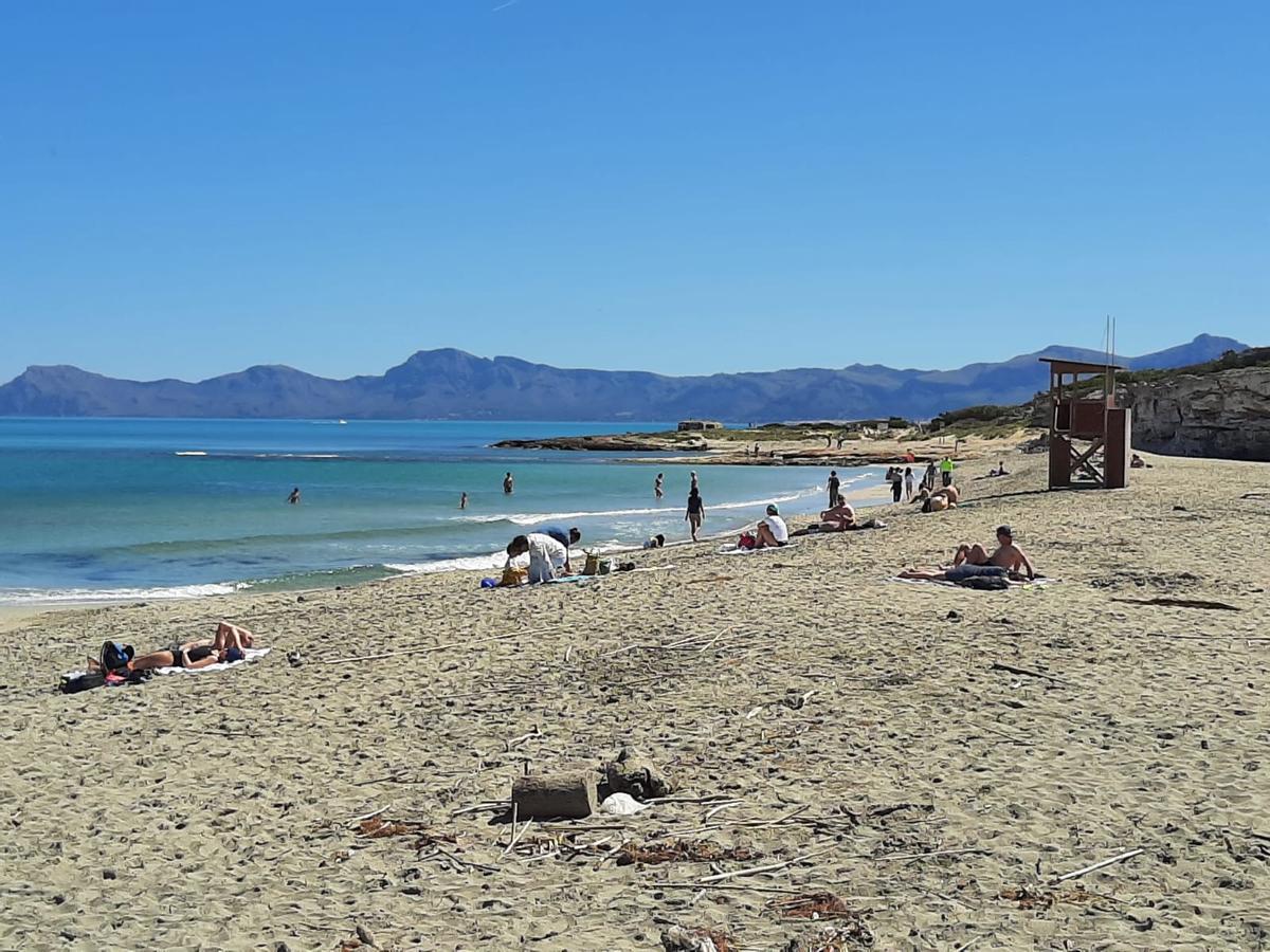 FOTOS | Mallorca se adelanta al verano: Son Bauló, en Can Picafort, se llena de bañistas