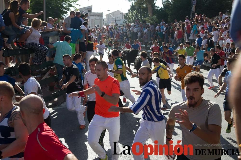 Primer encierro de Calasparra