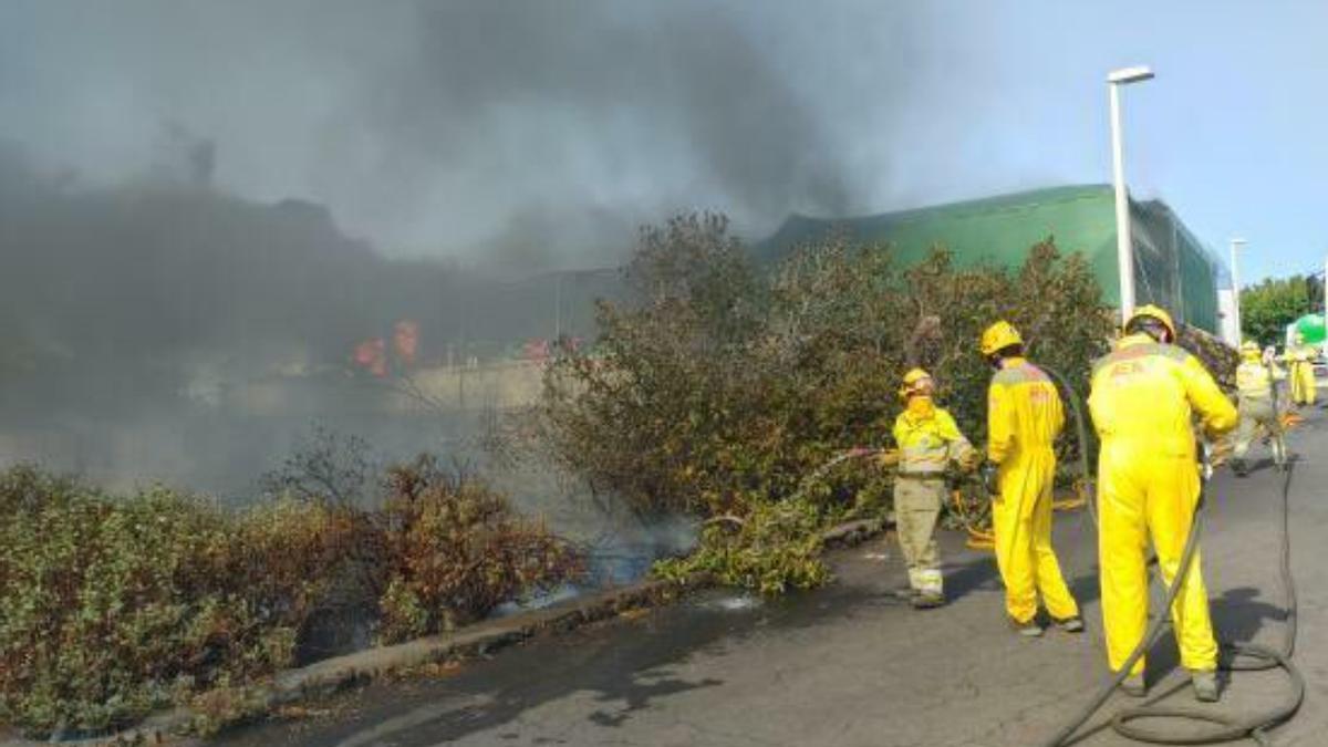 Incendio en La Palma (17/08/2021)