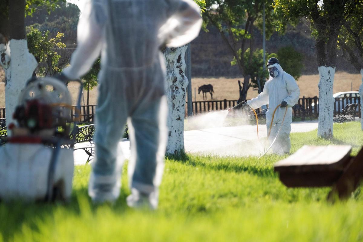 Fumigación en La Puebla (Sevilla) para combatir al mosquito del virus del Nilo.