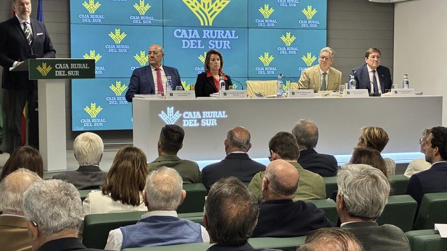 Caja Rural del Sur aumenta el negocio un 8,2% y supera los 19.000 millones