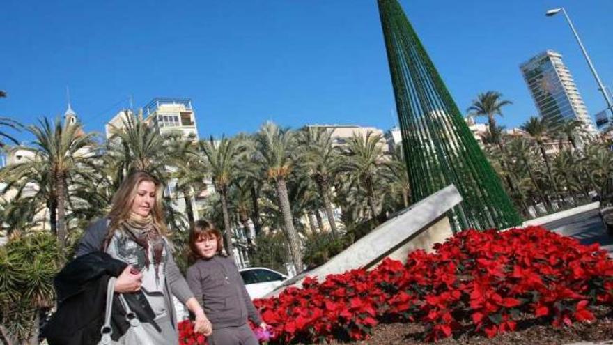 Seis mil plantas de Navidad decoran la ciudad