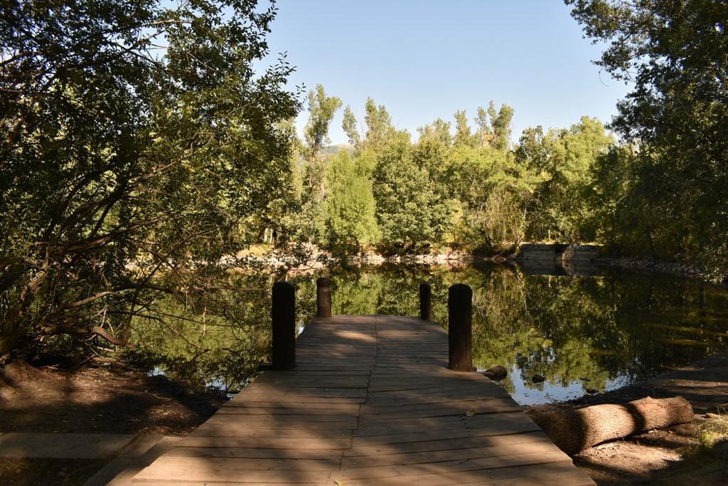 Bosque finlandés, en Rascafría.