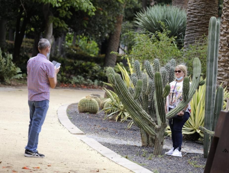 Paseos durante la celebración del Día de Canarias